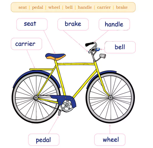 bicycle essay for class 2