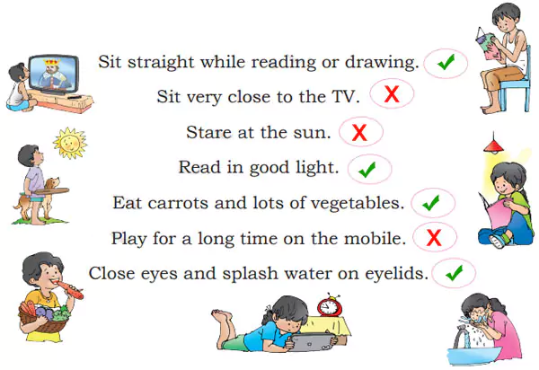 NCERT Class 2 English Mridang Chapter 4 Seeing without Seeing (Page 34)