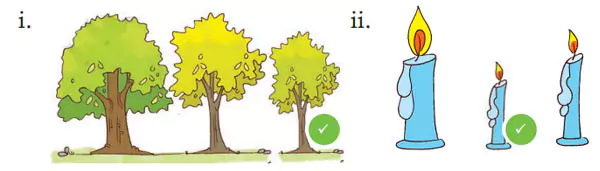 ncert-class-1-joyful-mathematics-chapter-7-linas-family-page-75-d