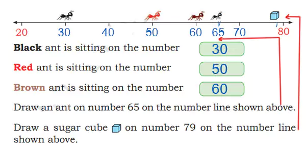 NCERT Class 2 Joyful-Mathematics Chapter 3 Fun with Numbers (Page 24 b