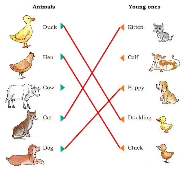 NCERT Class 3 English Santoor Chapter 1 Colours Page 3, 